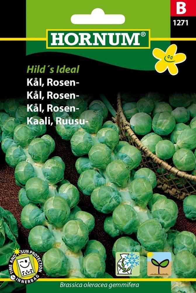 Brysselkål 'Groninger'