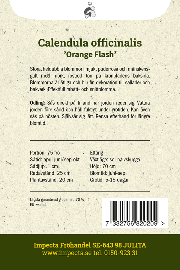 Ringblomma 'Orange Flash'