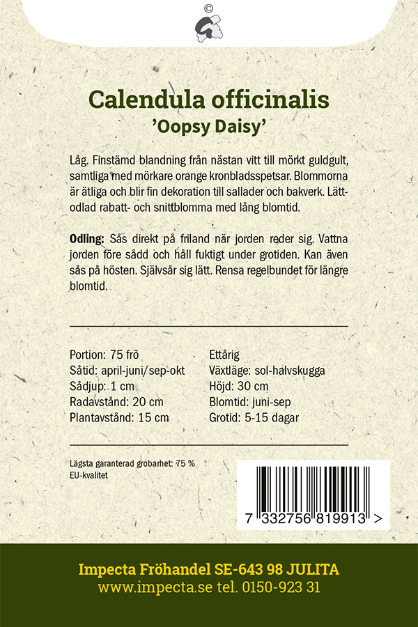 Ringblomma 'Oopsy Daisy'