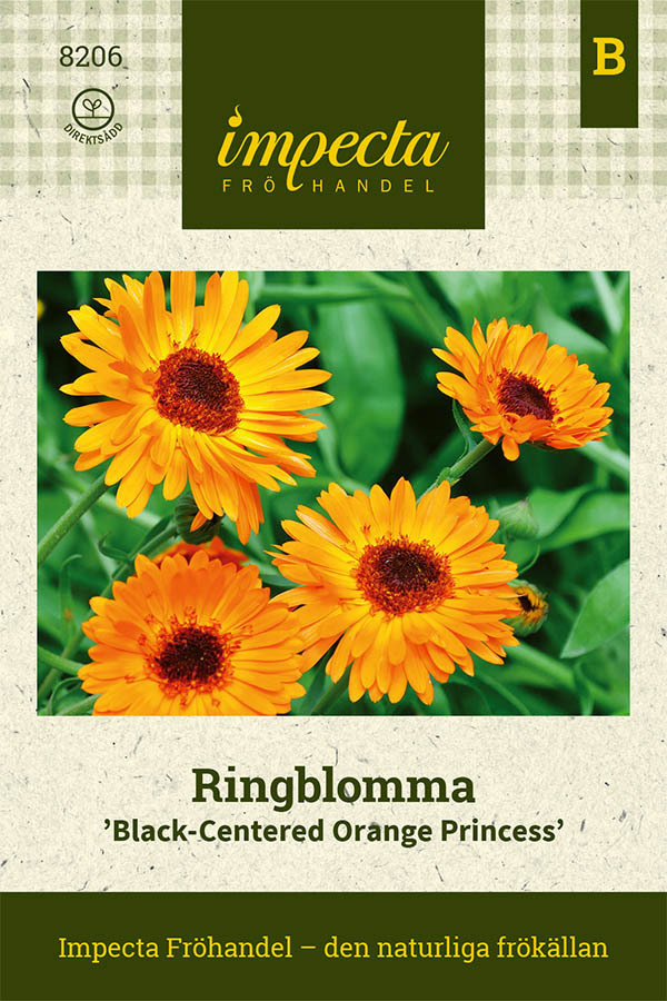 Ringblomma 'Black-Centered Orange P.'