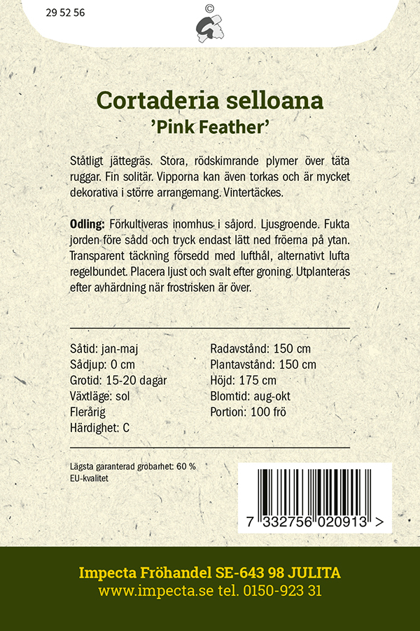 Pampasgräs Rött 'Pink Feather'