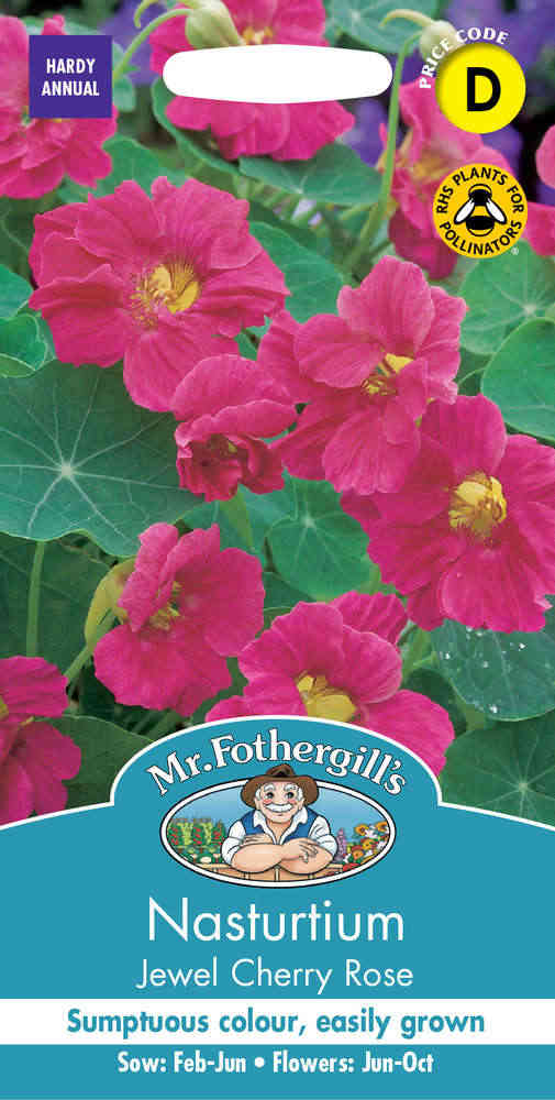 Slingerkrasse 'Jewel Cherry Rose'