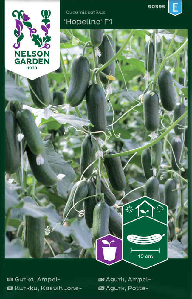 Ampelgurka 'Hopeline' F1