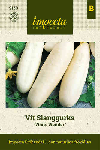 Vit Slanggurka 'White Wonder'