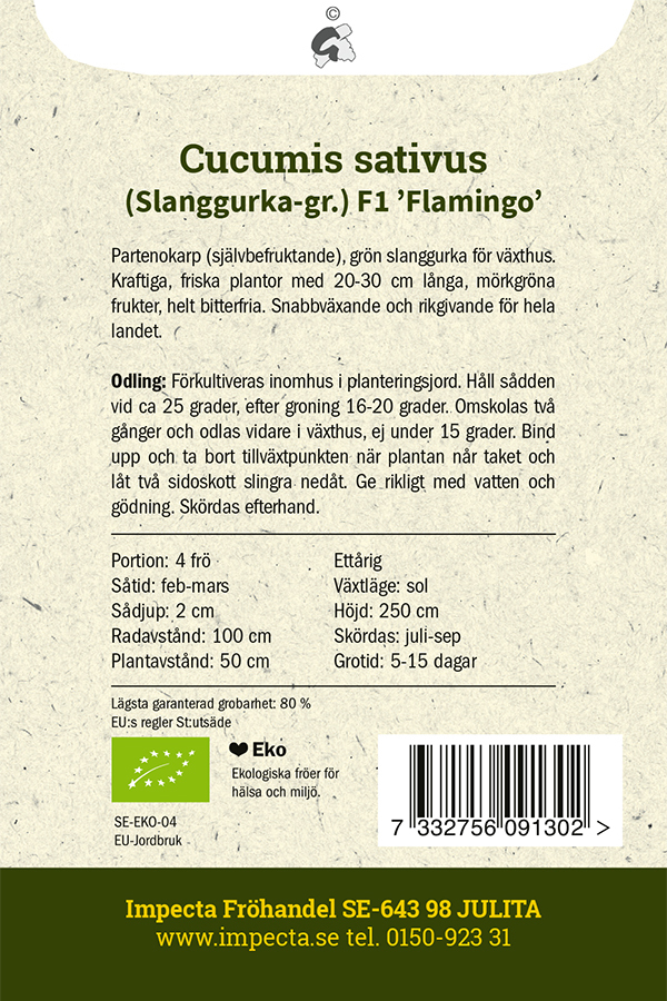 EKO Växthusgurka 'Flamingo'