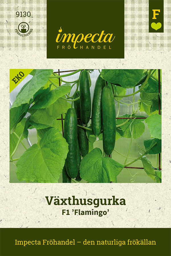 EKO Växthusgurka 'Flamingo'