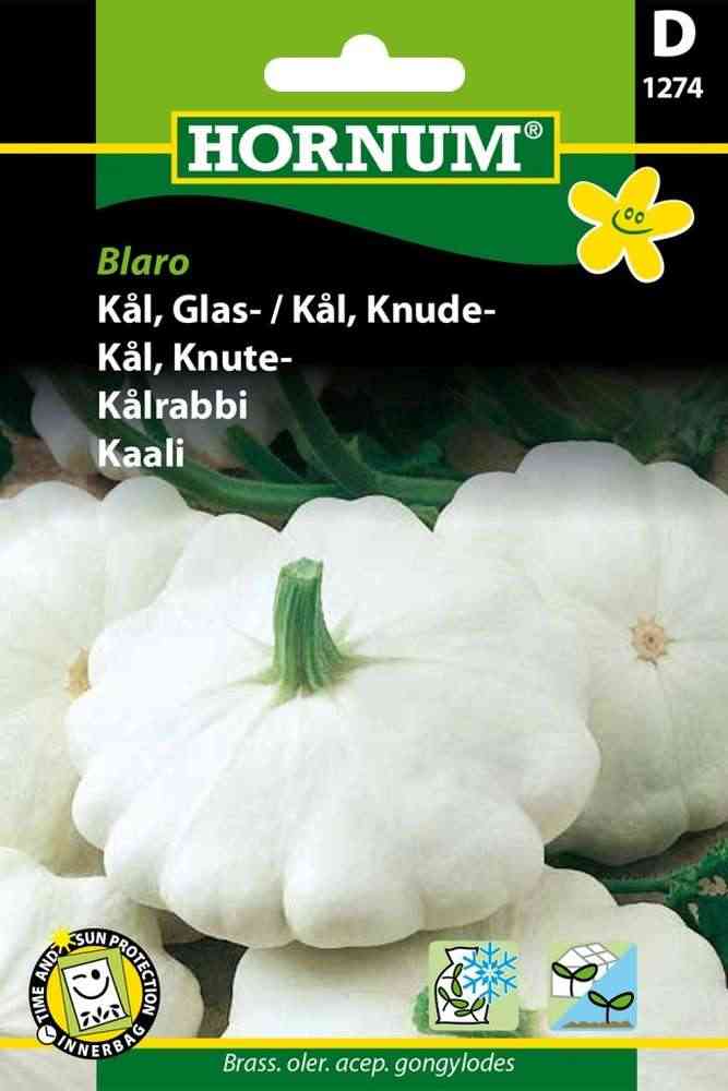 Musselsquash 'Custard White'