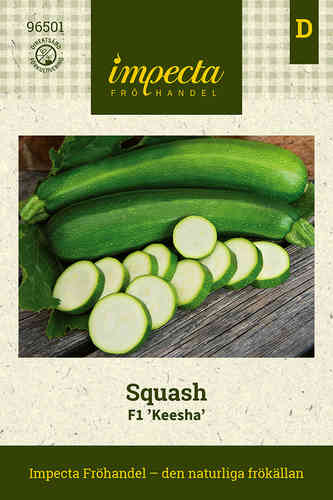 Squash F1 'Keesha'