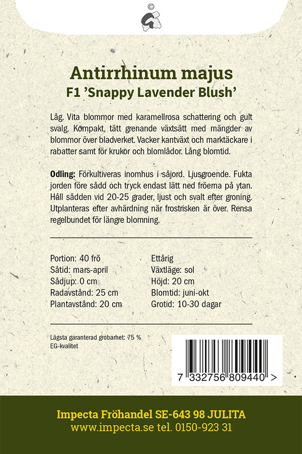 Leijonankita F1 'Snappy Lavender Blush'
