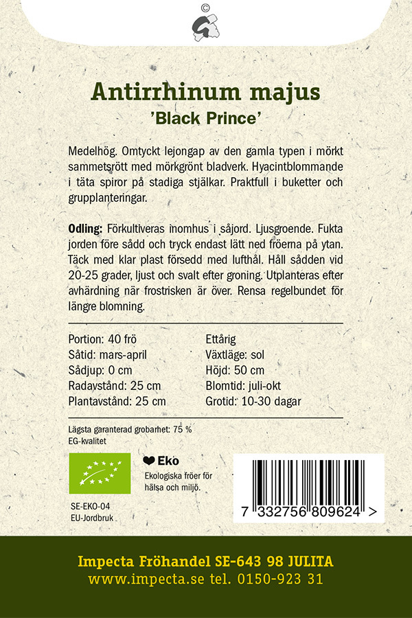 Lejongap 'Black Prince'