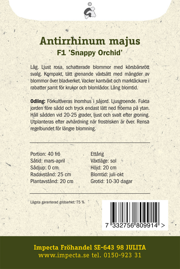 Leijonankita F1 'Snappy Orchid'