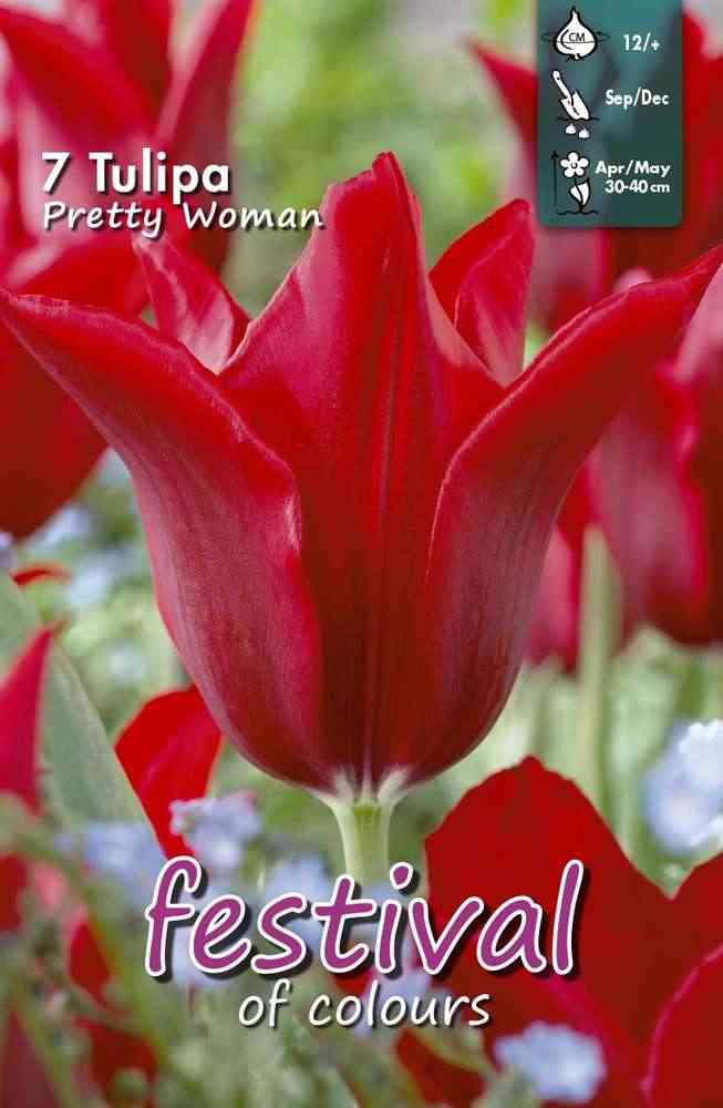 Liljetulpan 'Pretty Woman'