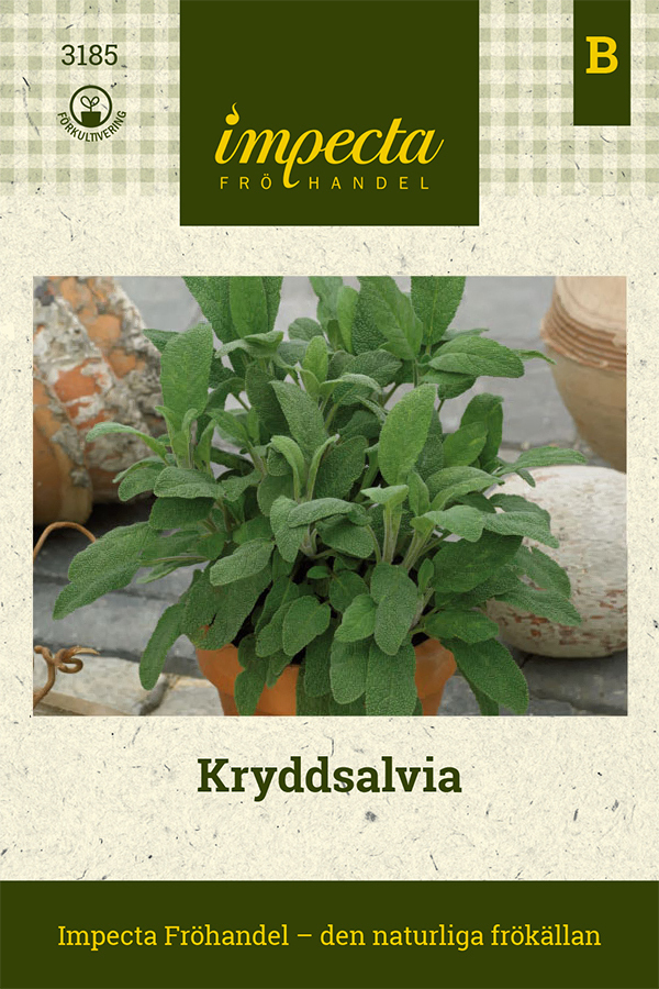 Ryytisalvia