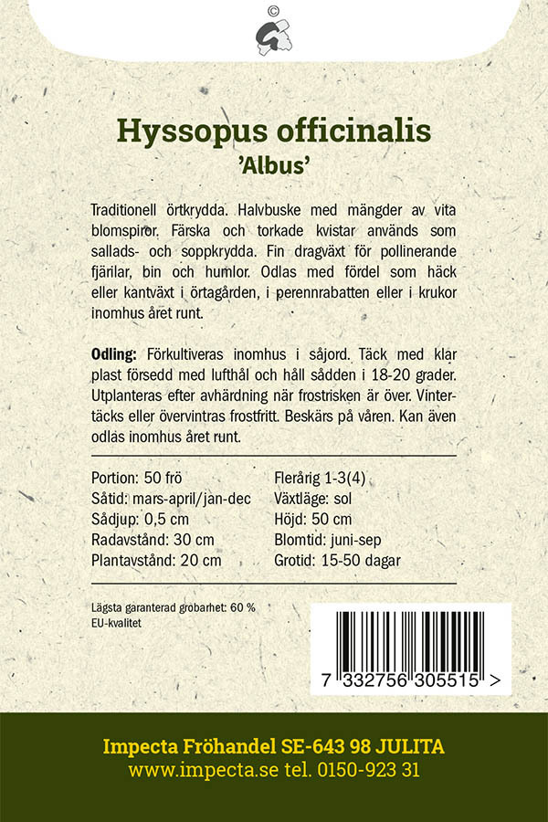 Isop 'Albus'