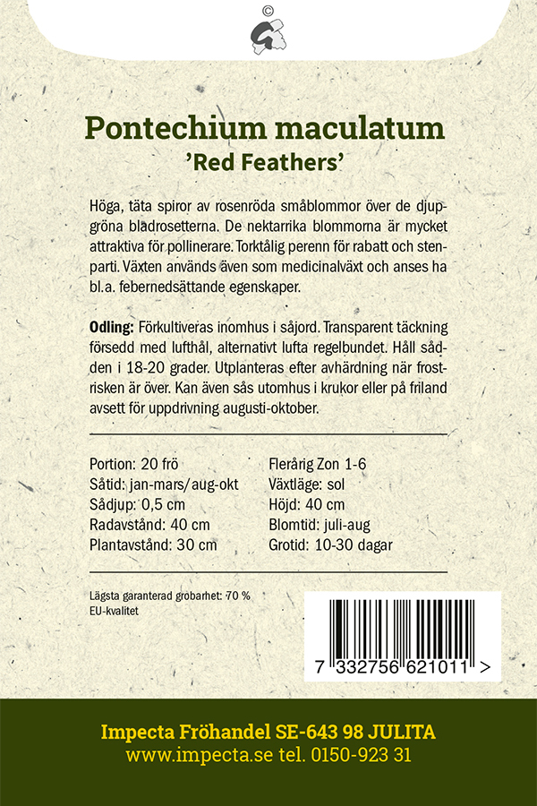 Röd Snokört 'Red Feathers'