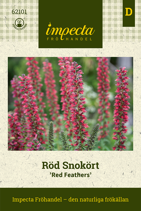 Röd Snokört 'Red Feathers'