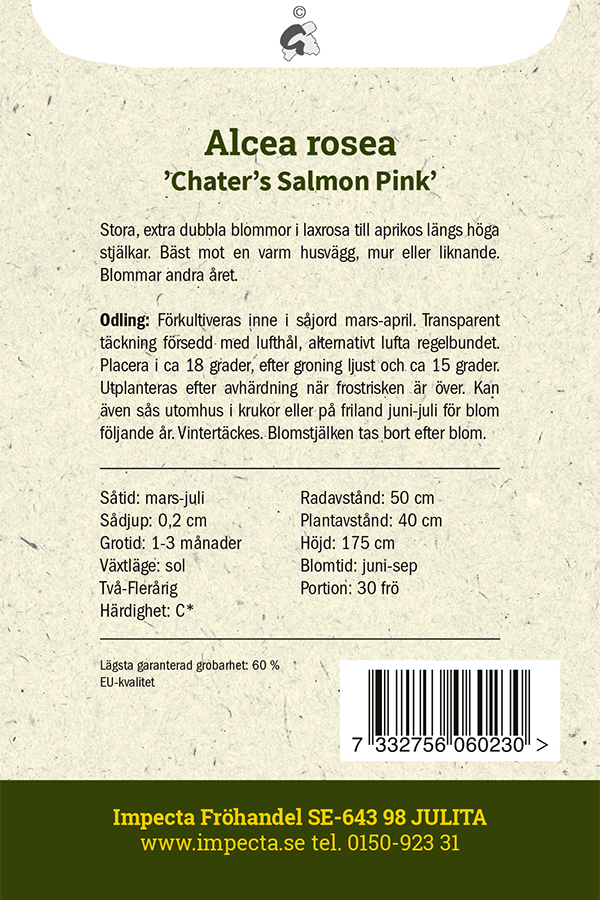 Stockros 'Chater's Salmon Pink'