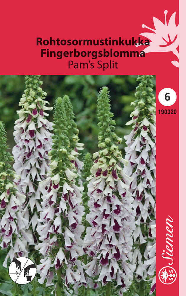 Fingerborgsblomma 'Pam's Split'