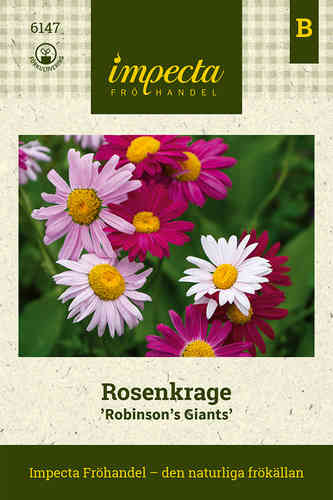 Rosenkrage 'Robinson's Giants'