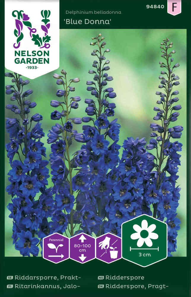 Praktriddarsporre 'Blue Donna'