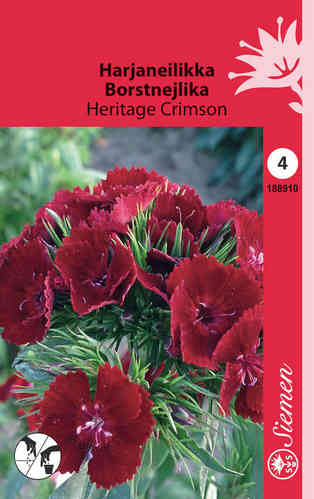 Borstnejlika 'Heritage Crimson'