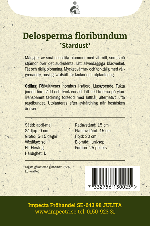 Vitögd Frövisare 'Stardust'