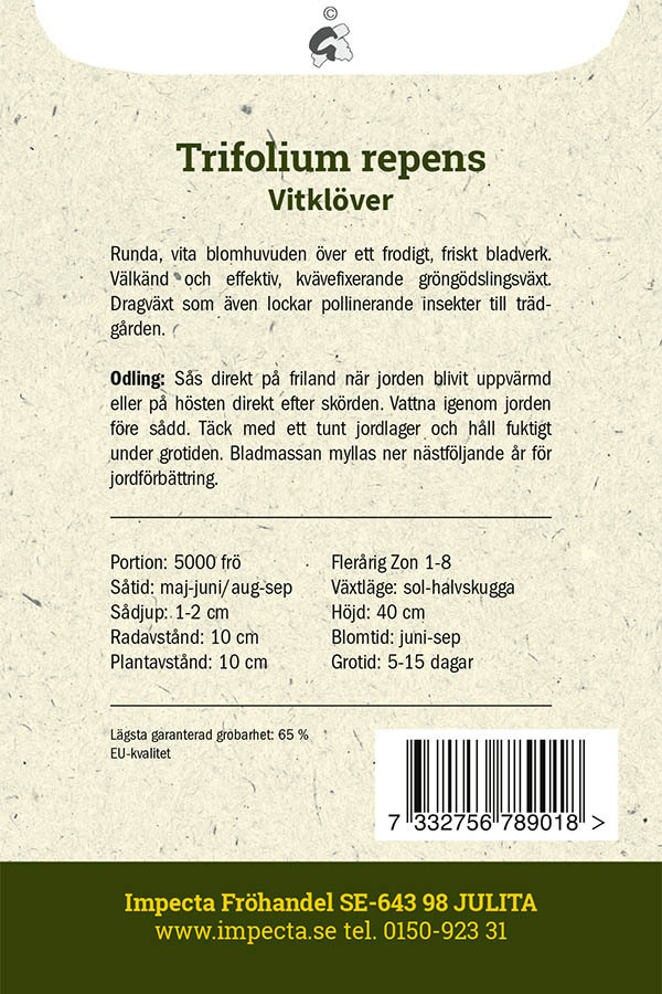 Vitklöver