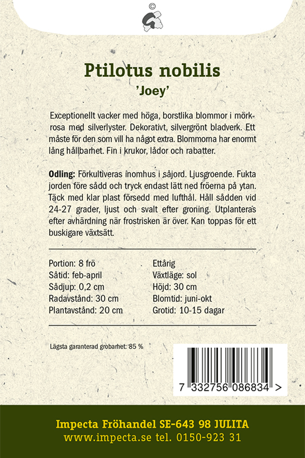Kattamarant 'Joey'
