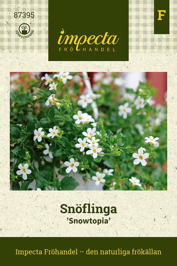 Snöflinga 'Snowtopia'