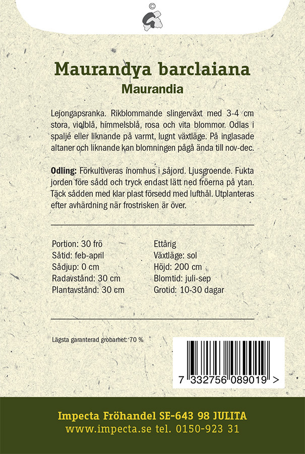 Maurandia