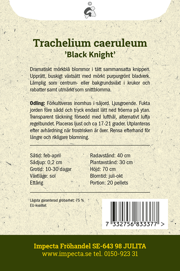 Sommarhalsört 'Black Knight'