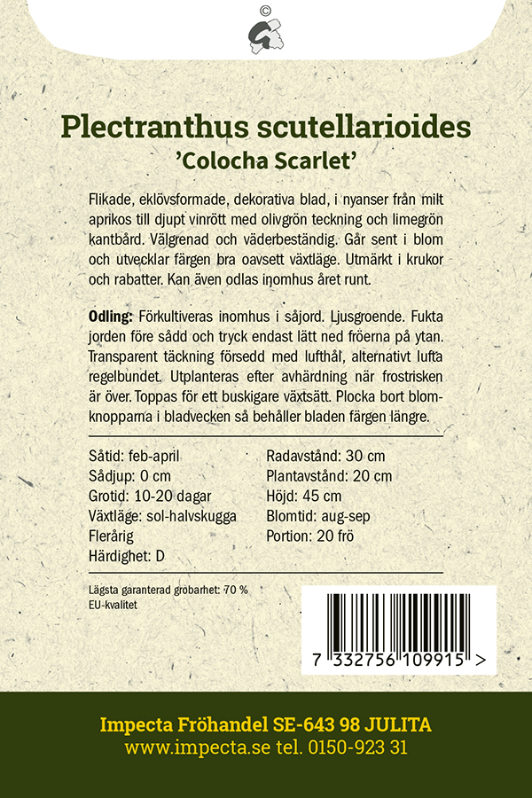 Palettblad 'Colocha Scarlet'