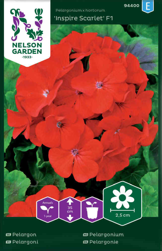 Pelargon F1 'Inspire Scarlet'
