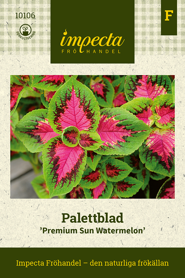 Palettblad 'Premium Sun Watermelon'