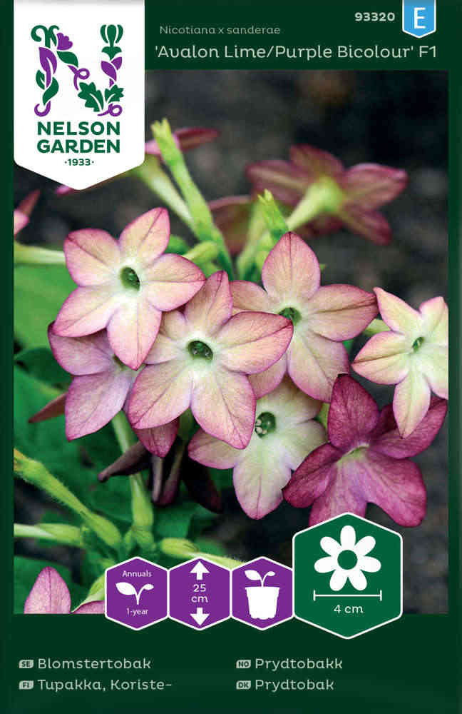 Koristetupakka F1 'Avalon Lime/Purple Bicolour'