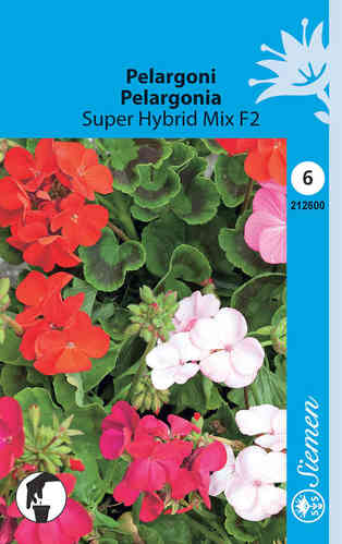 Pelargoni 'Super Hybrid Mix' F2