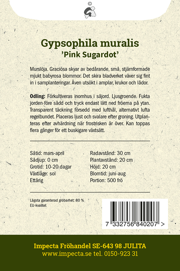 Grusnejlika 'Pink Sugardot'