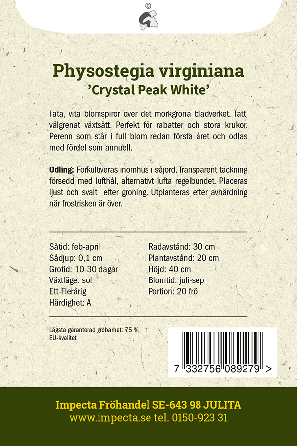 Drakmynta 'Crystal Peak White'