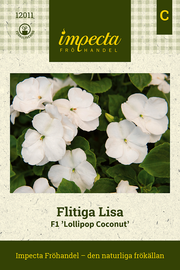 Flitiga Lisa F1 'Lollipop Coconut'