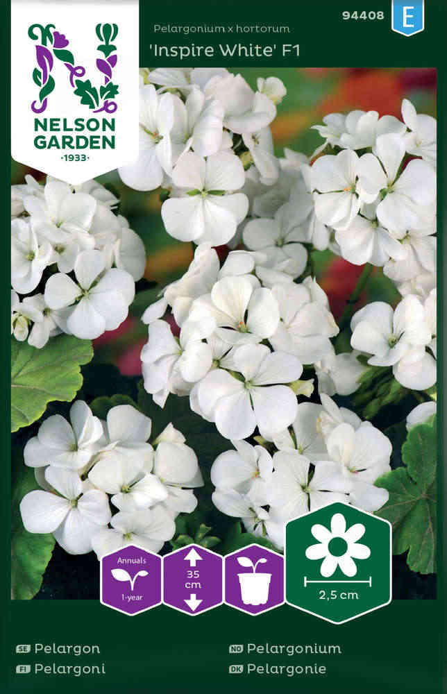 Pelargon F1 'Inspire White'