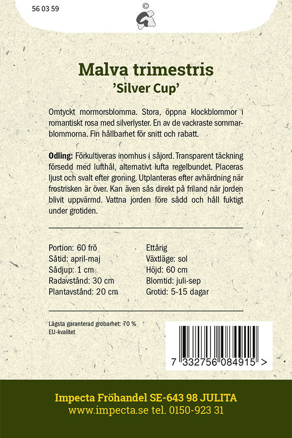 Sommarmalva 'Silver Cup'