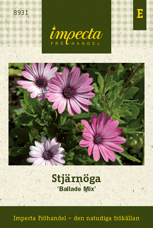 Stjärnöga 'Ballade Mix'