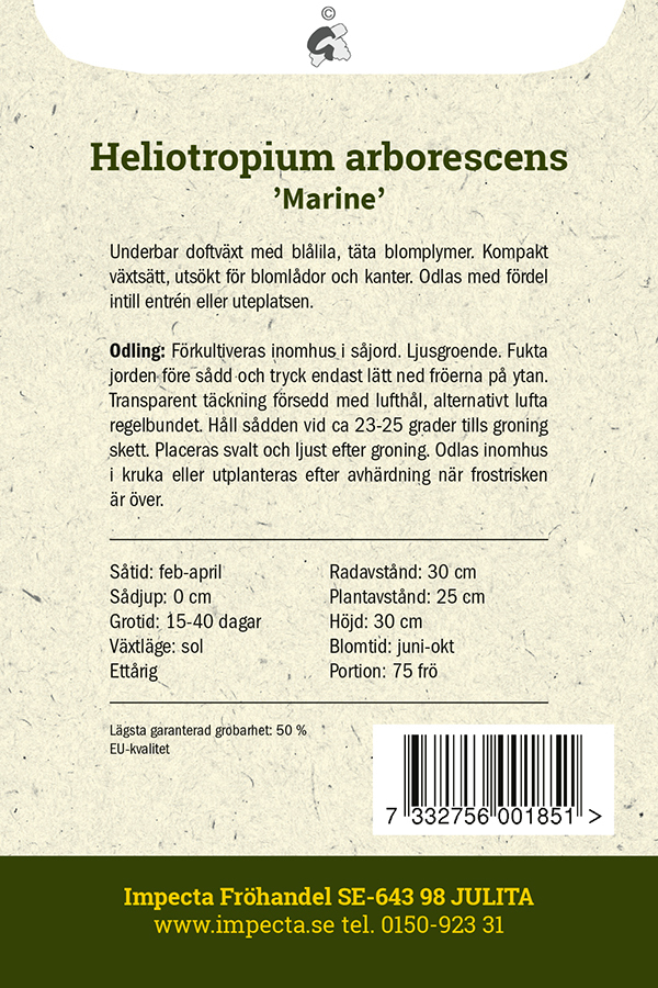 Heliotrop 'Marine'