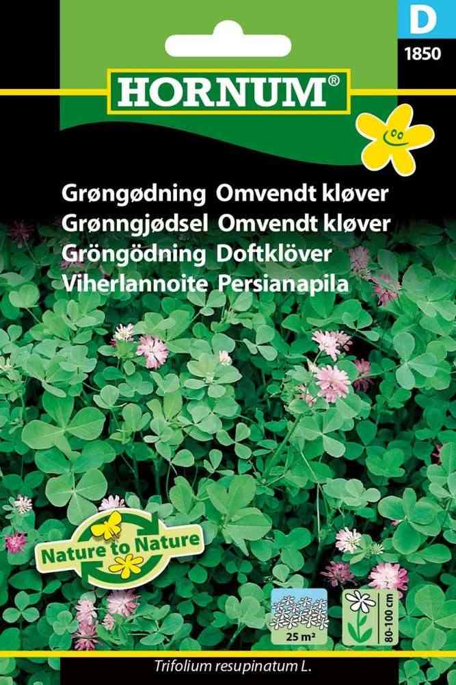 Gröngödning, Stor Doftklöver