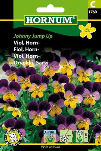 Sarviorvokki 'Johnny Jump Up'