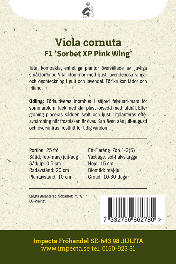 Minipensé F1 'Sorbet XP Pink Wing'