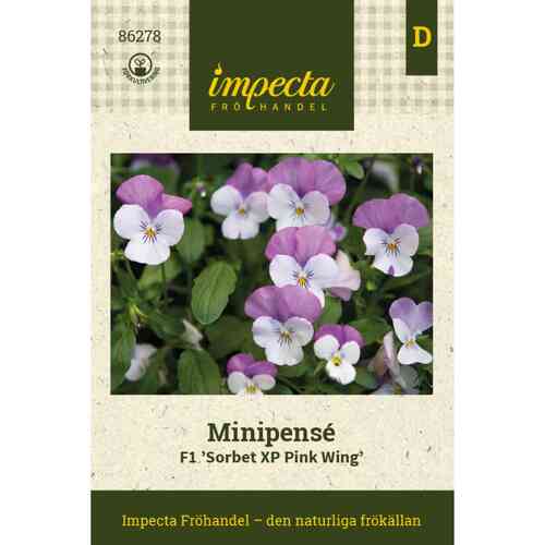 Minipensé F1 'Sorbet XP Pink Wing' Minipensé F1 'Sorbet XP Pink Wing'