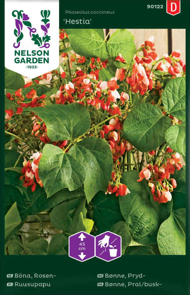 Blomsterböna Rosenböna 'Hestia'
