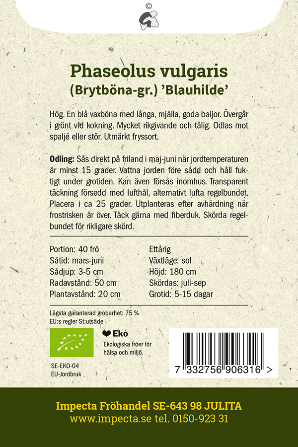 Störpurpurböna 'Brunhilde'
