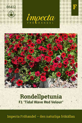 Rondellpetunia F1 'Tidal Wave Red Velour'